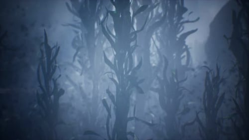 Underwater Grass Forest of Seaweed