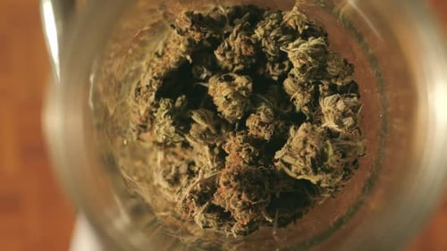 Medical Cannabis, Jar of Dried and Treated Marijuana Buds ,Medical Odorous Cannabis From the Fridge