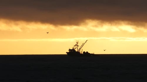 Schiff am Horizont