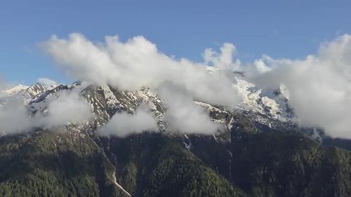 Brotherhood Of Snow Fog