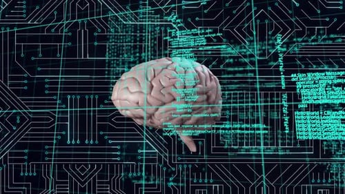 Brain and a digital circuit with program codes