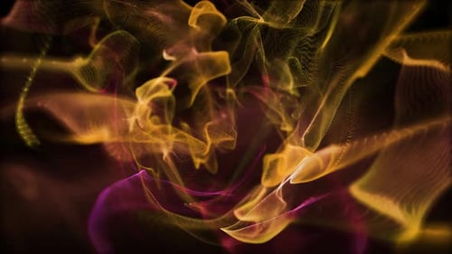 Premio Fluid Particles Award