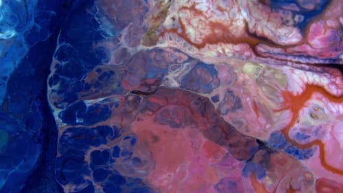 Abstract Colorful Swirls of Fluid Paint