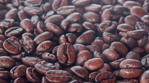Close-up of pile of roasted coffee beans
