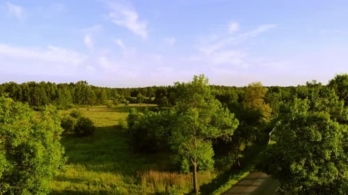 The road leads through fields and forests