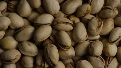 Close Up of Fresh Raw Pistachios