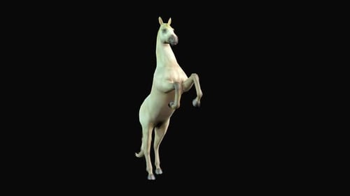 White Horse Rearing Action 3D Animation