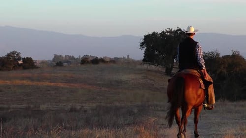 Lone Horseback Rider Trots Through Rural Landscape at Sunset