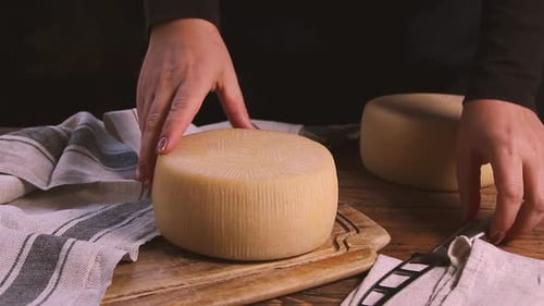 Women cut a wheel of fresh homemade cheese on a wooden board with a cheese knife close up