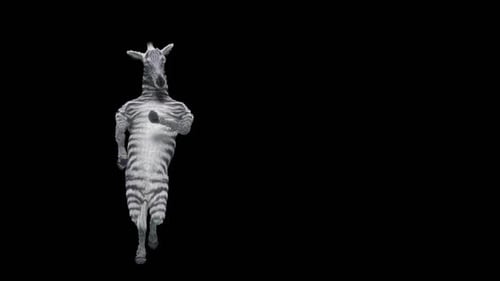 Funny Zebra Dancing Alpha Channel Character Animation