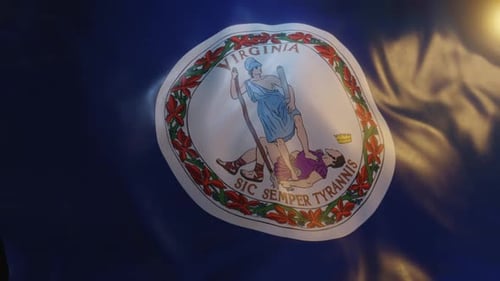Realistic Waving Virginia State Flag Animation Loop