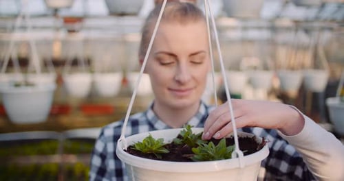 Young Adult tending to Plants in Greenhouse