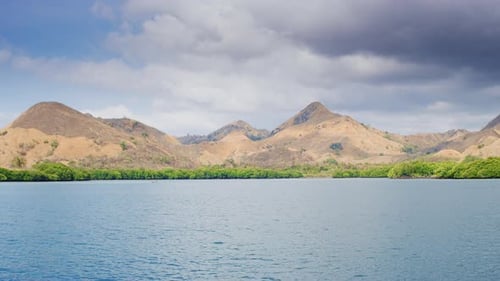Ocean of Hills and Green Shore