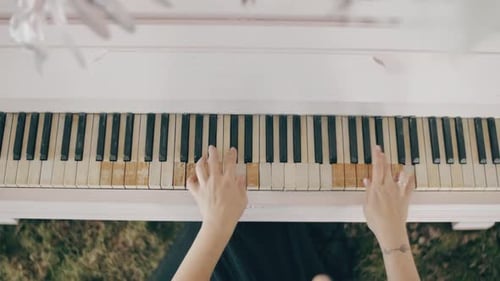 Top View of Female Hands Playing a Gentle Piece of Classical Music on a Beautiful Grand Piano. Woman