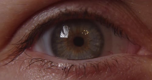 Female Open Eye Macro Shot