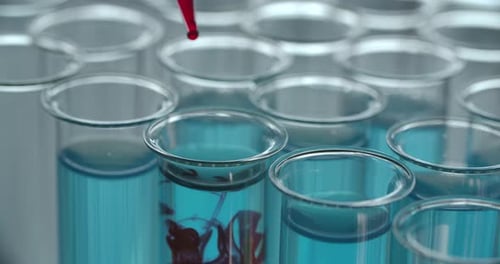 Blood Test in a Microbiological Lab