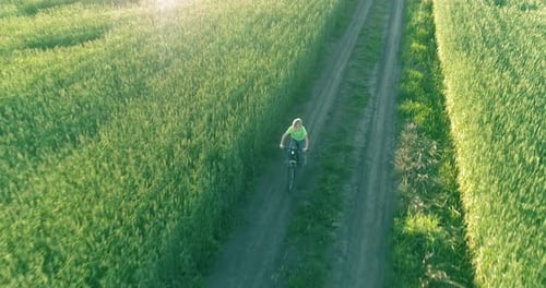 Luftaufnahme eines Jungen, der mit dem Fahrrad durch ein Weizengrasfeld auf der alten Landstraße fährt