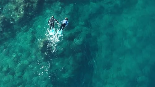 People Together Enjoying Outdoors Underwater Snorkeling Activity Hawaii Aerial