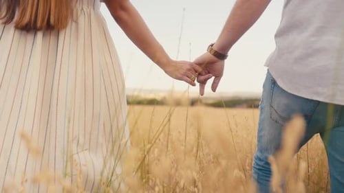 Jeune couple amoureux se tenant la main en marchant dans le champ de culture d'or. - plan moyen