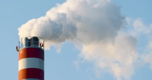 White smoke air pollution coming from the pipes on an industrial factory.
Static close up shot. Blu
