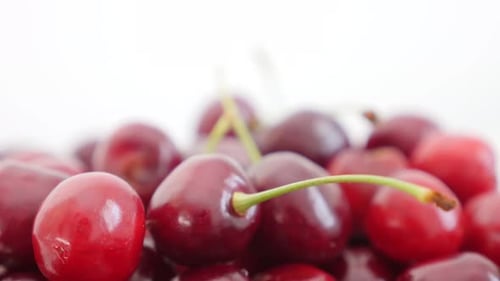 Frische Prunus Cerasus-Frucht auf weißem Hintergrund langsam kippend 4K 2160p 30fps UltraHD-Aufnahmen - Wild so