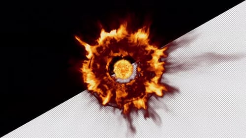 Fire Ring Around a Plasma Ball