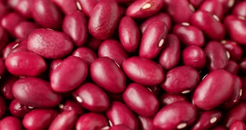 Vibrant Red Kidney Beans Macro Shot