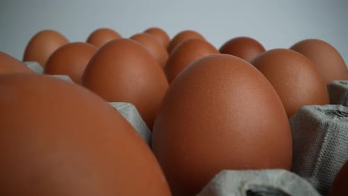 Close Up of Fresh Brown Eggs in Carton