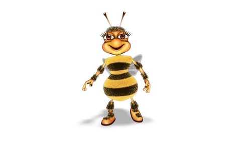 Cartoon Bee Dance Looped on White Background