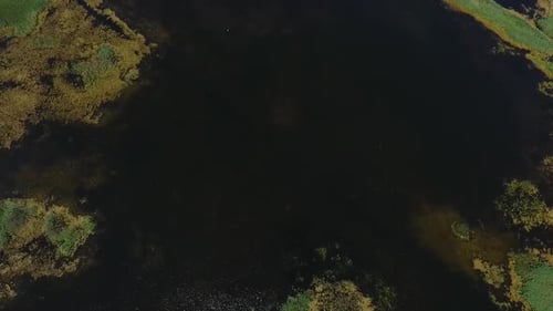 Drone Shot of Big Lake in Summer