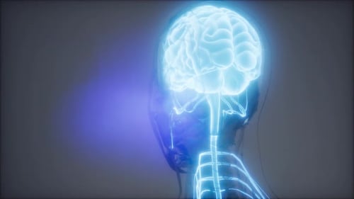 Futuristic Brain and Nervous System Scan with Glowing Blue Neurons