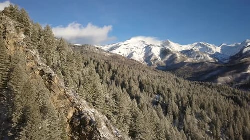 Aerial View of Snow-Covered Mountains and Forest