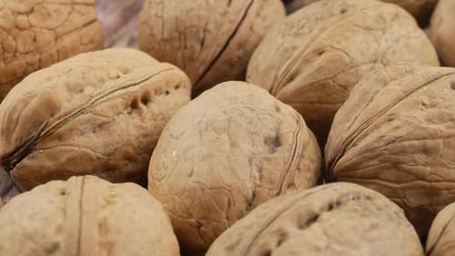 many organic walnuts close up