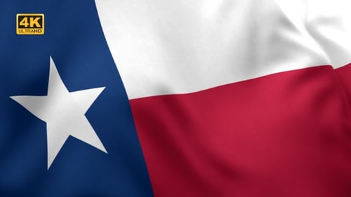 Waving Texas State Flag Seamless Loop Animation