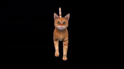 Gelbe Katze: Fast Walk View von vorne