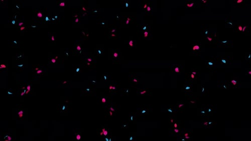 Falling Pink and Blue Petals Transition for Romantic Celebrations