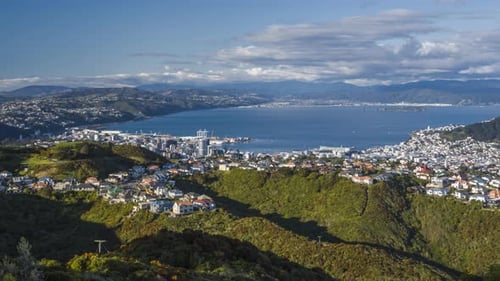 Wellington New Zealand