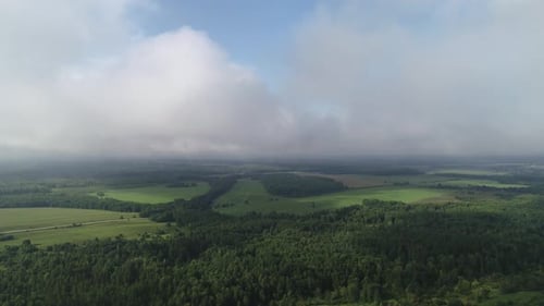 Smooth and Fast Flight Over the Forest and Fields. Plain Rural Landscape. Sunny Summer Day.