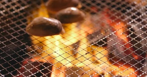 Palourdes fraîches sur un filet métallique grillé au barbecue