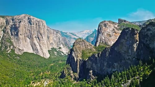 Overlooking Yosemite Valley in Background on a perfect sunny Summer Day