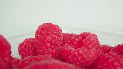 Close-up of Fresh Raspberries in Container