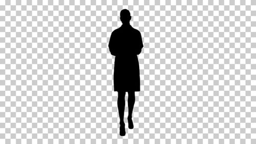 Silhouette doctor, Alpha Channel