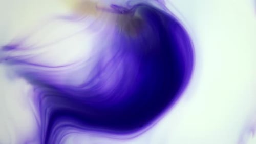Purple Paint Flowing on White Abstract Background
