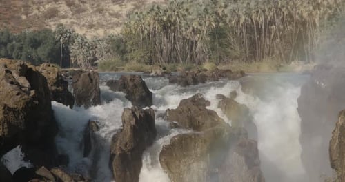 Felsiger Wasserfall und Palmen