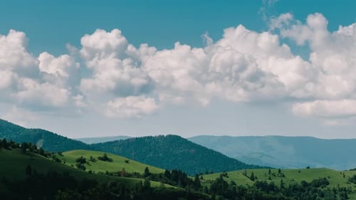 Time Lapse of Clouds Moving Over Tree Tops on Blue Sky Background Three in One