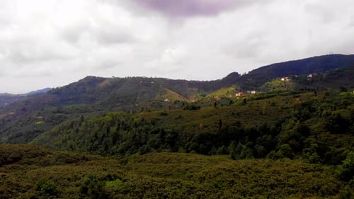 Mountains Forest and Houses