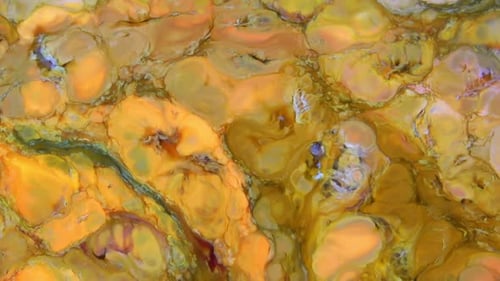 Abstract Paint Colours Diffusion 115