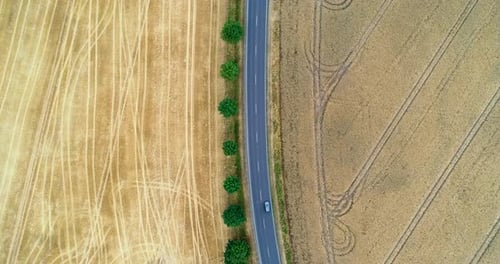 Aerial Fly Over The Road Between Agriculturw Fields With Car Travelling