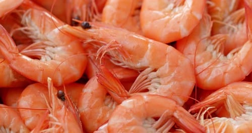 Cooked shrimp on dish