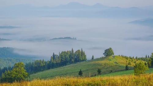 Summer Morning and Mist in the Valley